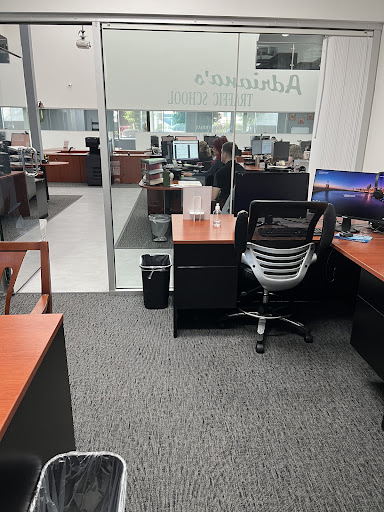 Adriana's Traffic School