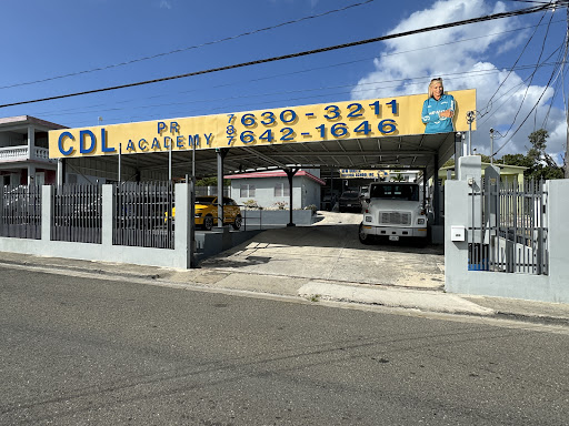 New Robles Driving School INC