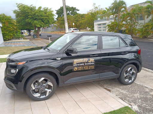 ROBLES JR DRIVING SCHOOL EL ORIGINAL