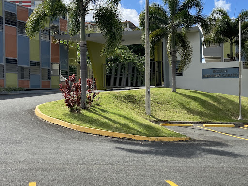 Escuela Superior Medardo Carazo