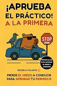 Guía 2026: Autoescuela San Juan – Mejores Opciones, Precios y Tips para Aprobar el Examen