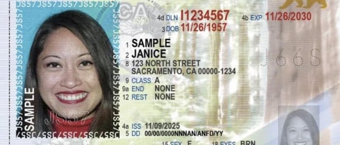 Licencia de conducir: foto de carnet de manejo, documento oficial y requisitos